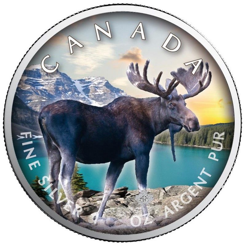 Moneda Maple Leaf Alce Colored de Plata 1 oz 2021