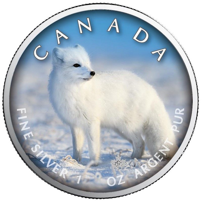 Moneda Maple Leaf Zorro Polar Colored de Plata 1 oz 2021