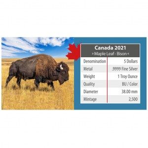 Moneda Maple Leaf Bisonte de Plata 1 oz 2021 documentación reverso