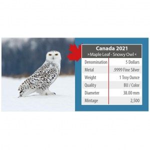 Moneda Maple Leaf Buho Nevado de Plata 1 oz 2021 documentación reverso