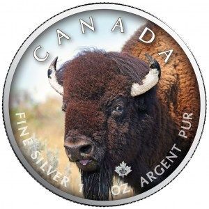 Moneda Maple Leaf Wildlife Bisonte de Plata 1 oz 2021