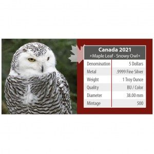 Moneda Maple Leaf  Wildlife Búho Nevado de Plata 1 oz 2021 documentación reverso