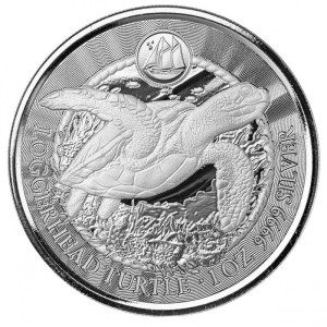 Moneda de Plata Tortuga Boba 1 oz 2023 Proof Like