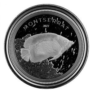 Moneda 4 / EC8 Pez Ángel de Faja Azul de Plata 1 oz 2021 BU