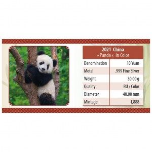 Moneda Panda Colored de Plata 30 g 2021 documentación reverso