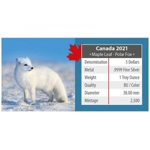 Moneda Maple Leaf Zorro Polar Colored de Plata 1 oz 2021 detalle