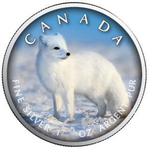 Moneda Maple Leaf Zorro Polar Colored de Plata 1 oz 2021