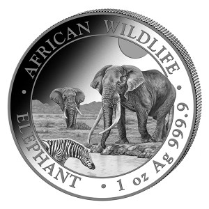Moneda de Plata Elefante de Somalia 1 oz 2026 BU